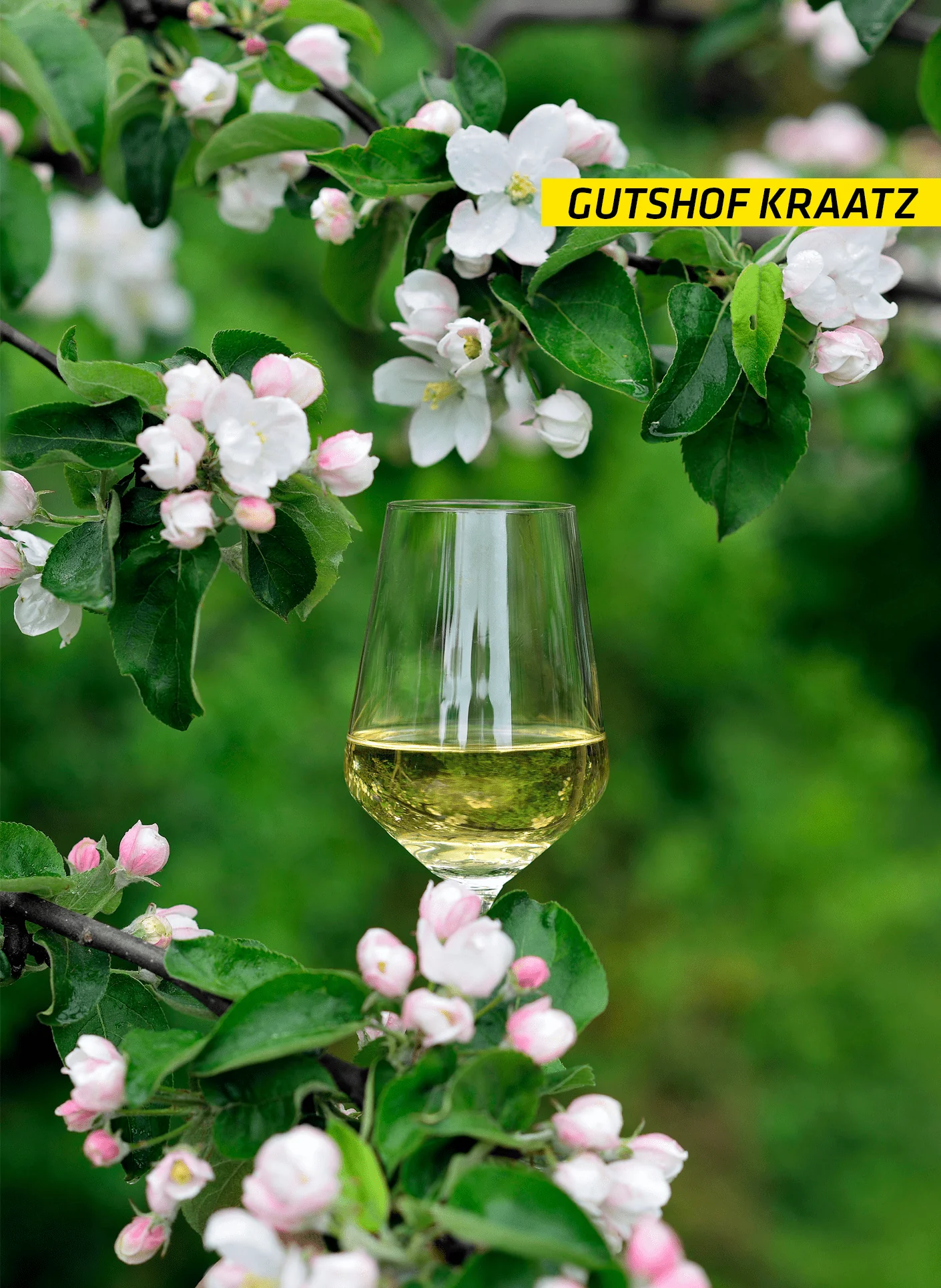 Apfel-Rote-Bete-Saft - Image 4
