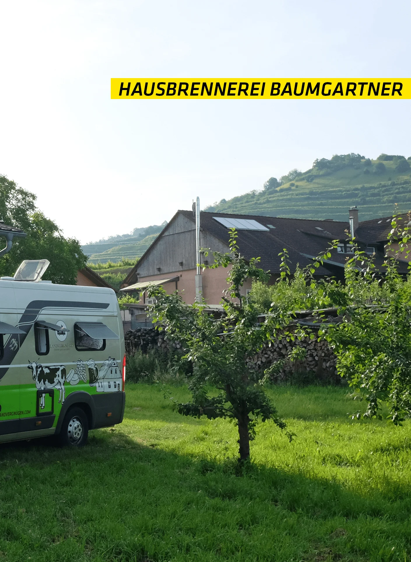 Weintresterbrand / Eichenfass gereift - Image 4