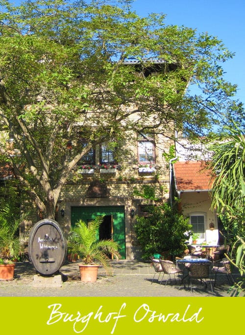 Pinot Blanc Sekt - Image 2